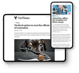 Display-ads